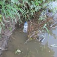 plastic-bottle-trash-300x225