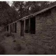 The Shelter