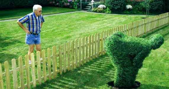 Homesteading