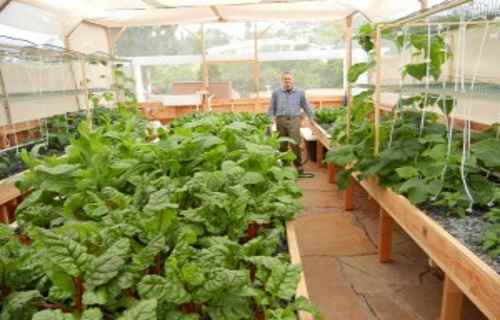 Become a Millionaire on One Acre with Aquaponics ...
