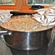 this is incredible! the self watering grow bag grow system