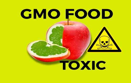 GMO foods